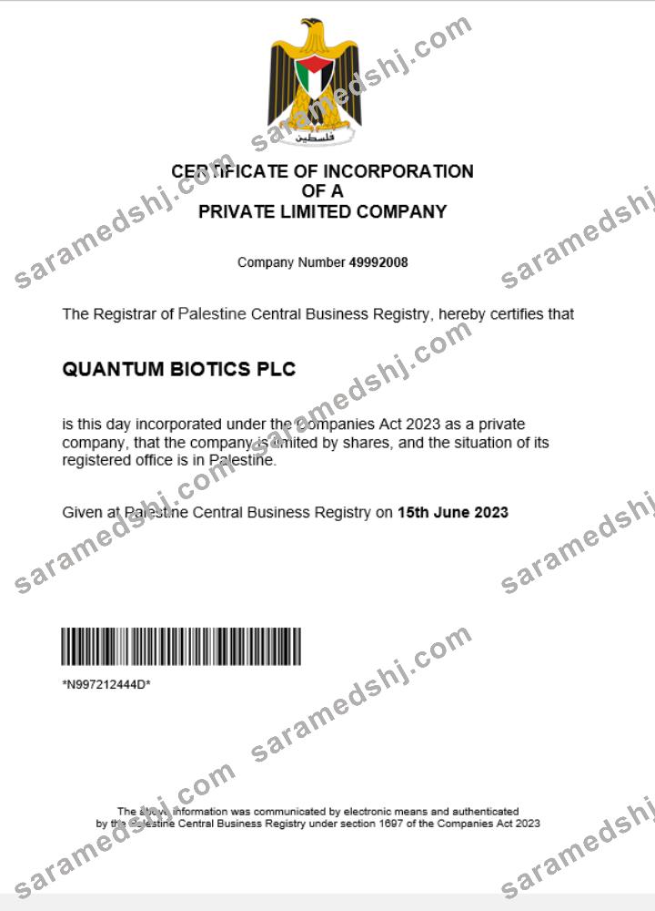 Palestine business registration certificate Word and PDF template